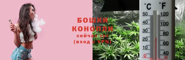 стафф Елизово