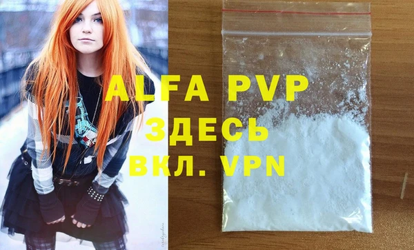стафф Елизово