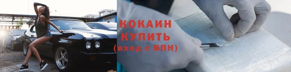 стафф Елизово