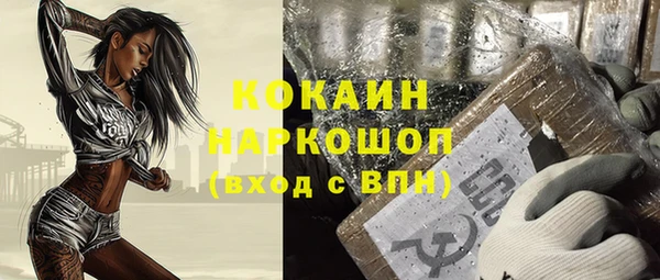 стафф Елизово