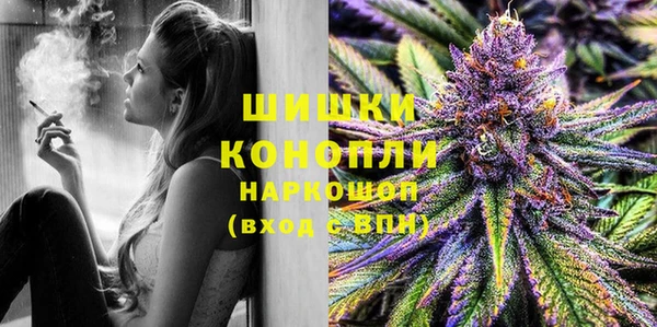 стафф Елизово