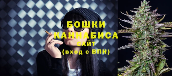 стафф Елизово