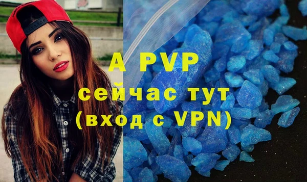 стафф Елизово