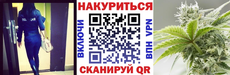 где купить наркоту  Камызяк  Шишки марихуана планчик 
